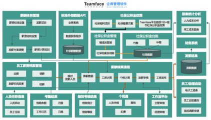 公司想采购人事薪资系统,是选标准化软件、还是定制开发(买断)?差别在哪?