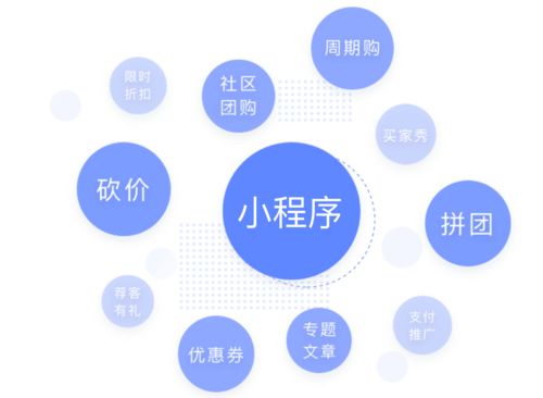 开发一个小程序,为什么有的300,有的30000